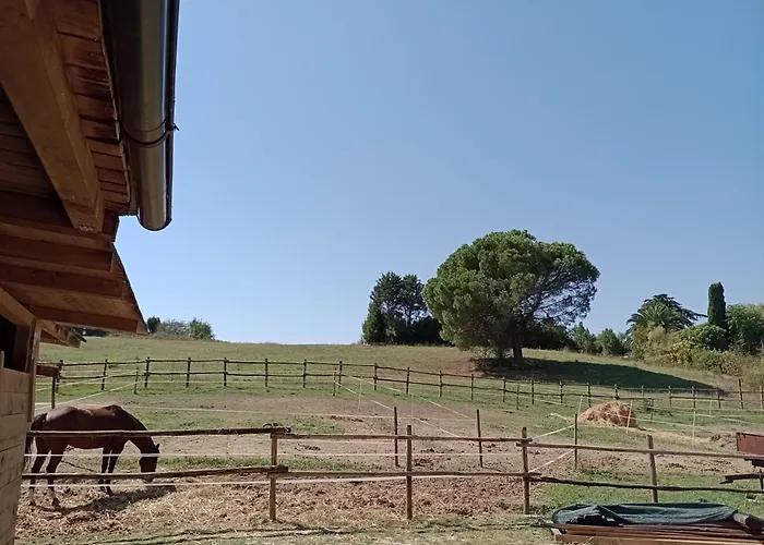 Diffuso Vgb וילה *