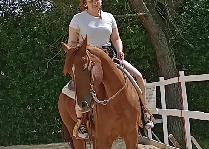 וילה Diffuso Vgb