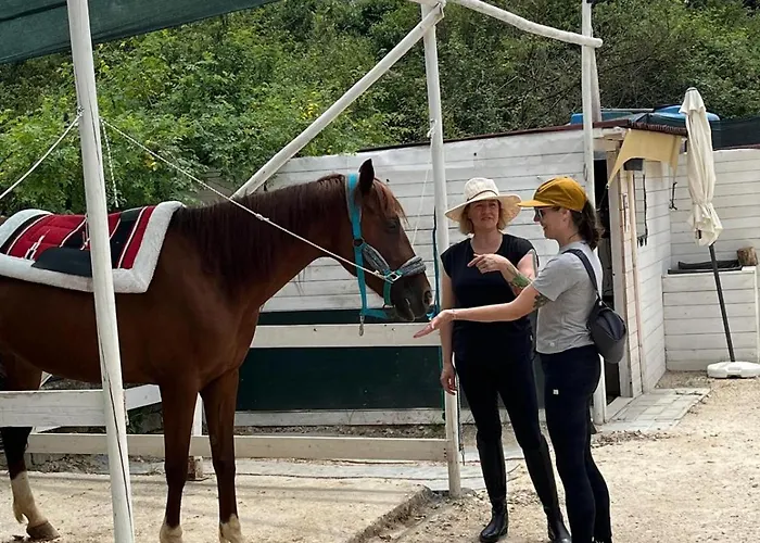 וילה Diffuso Vgb