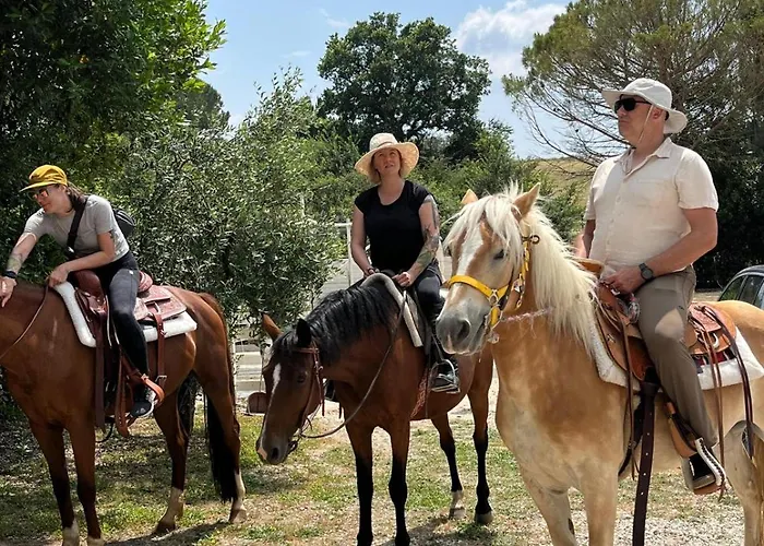 וילה Diffuso Vgb