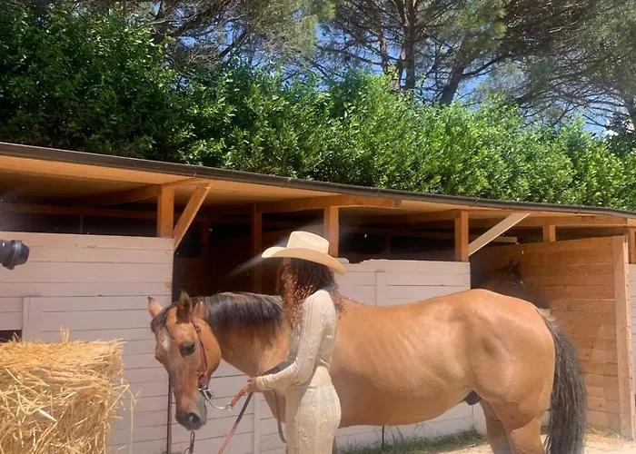 וילה Diffuso Vgb