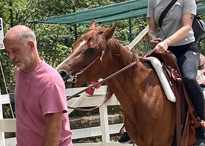 Diffuso Vgb * Sacrofano